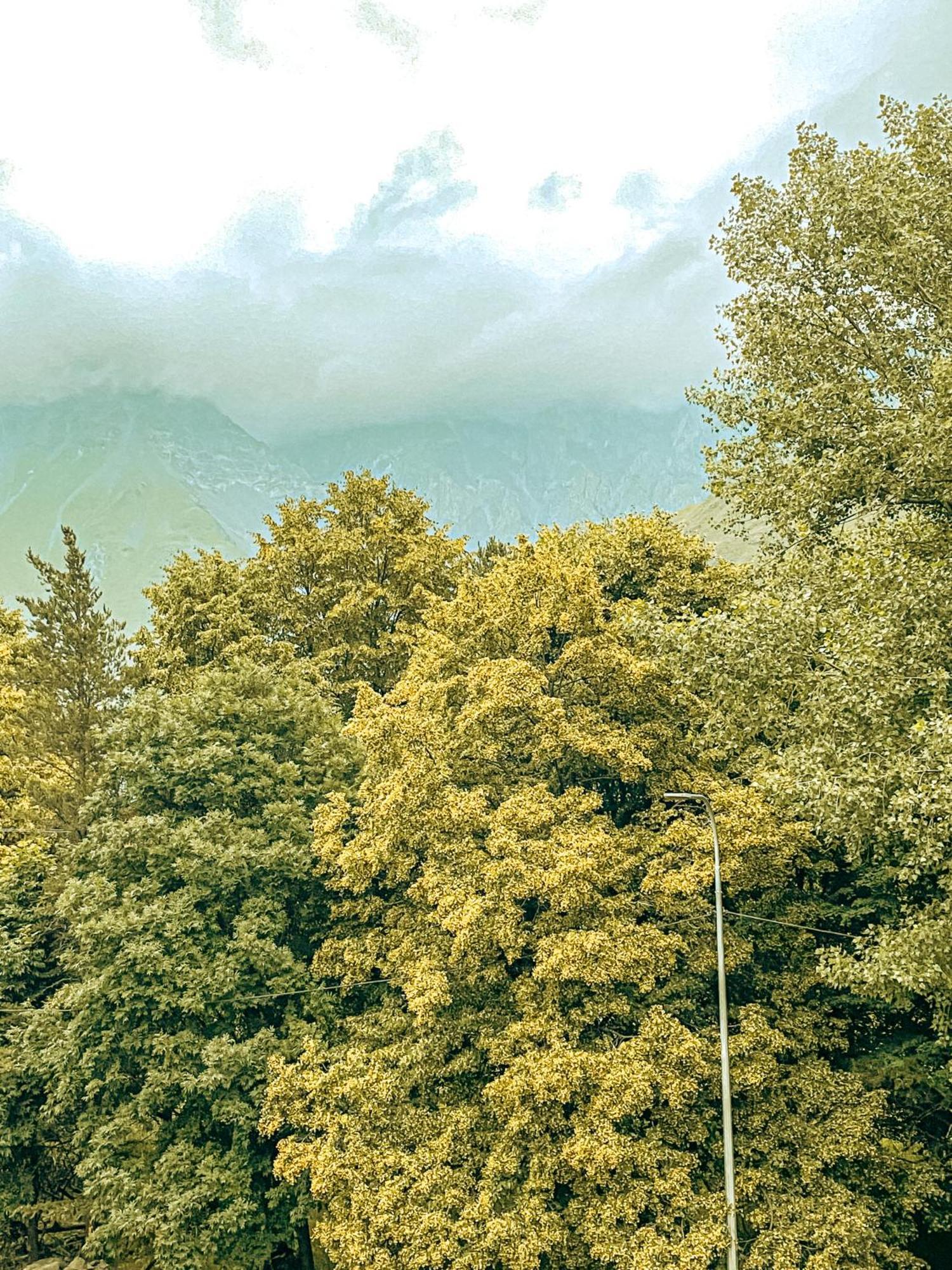 Hotel Gold Kazbegi المظهر الخارجي الصورة
