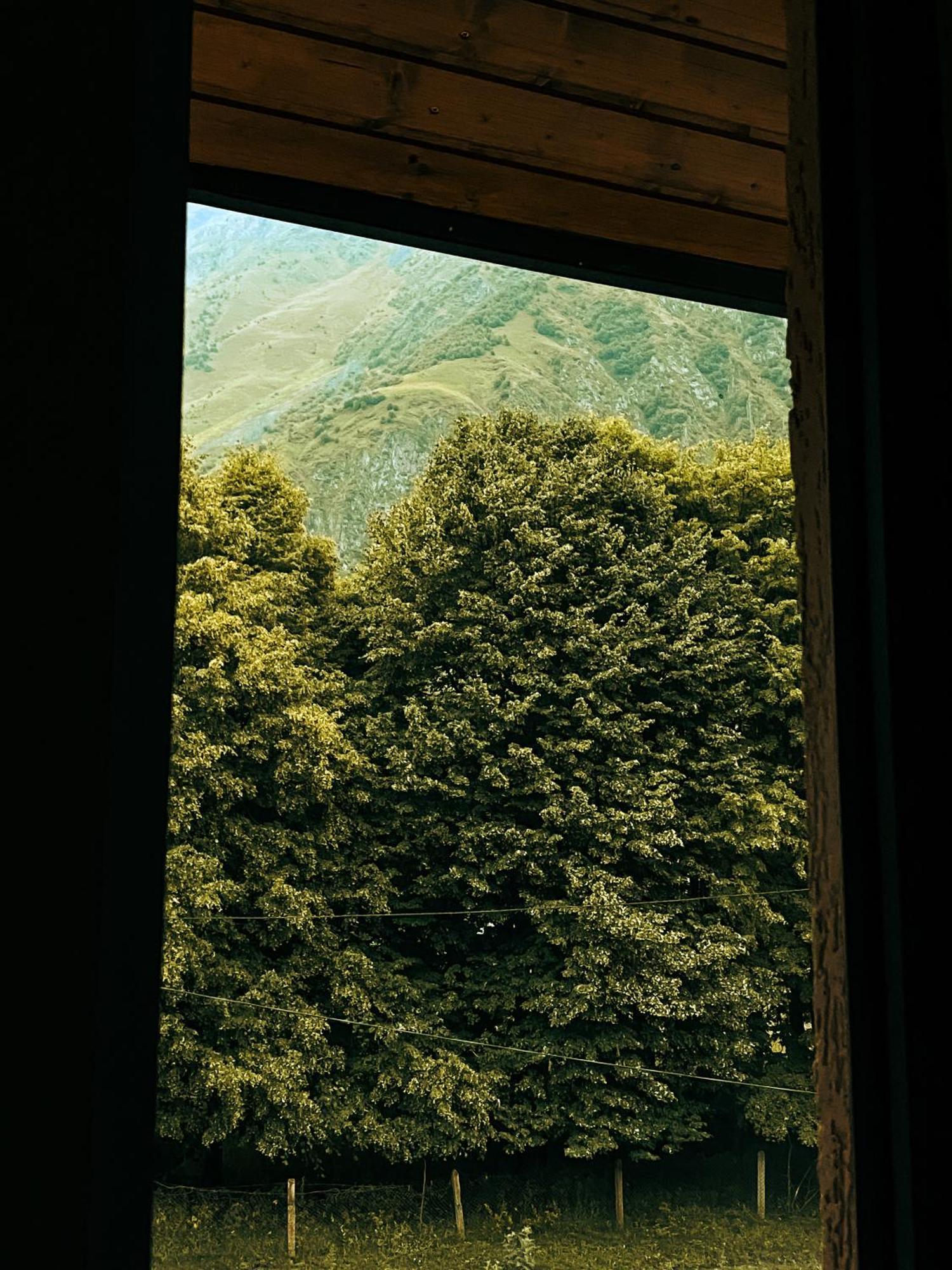 Hotel Gold Kazbegi المظهر الخارجي الصورة